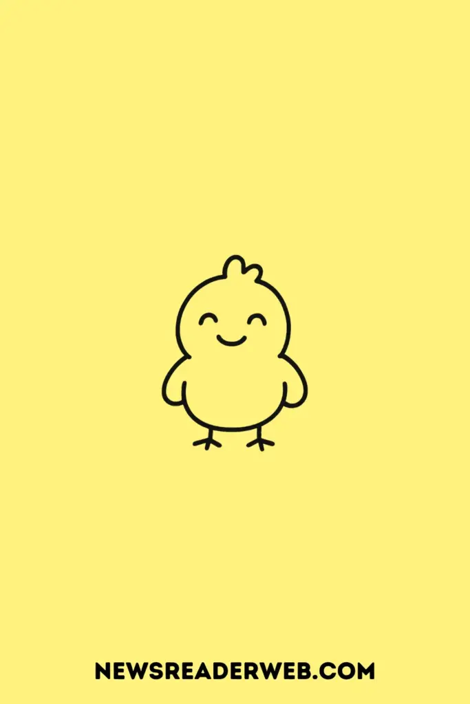 Chicken Drawing Ideas