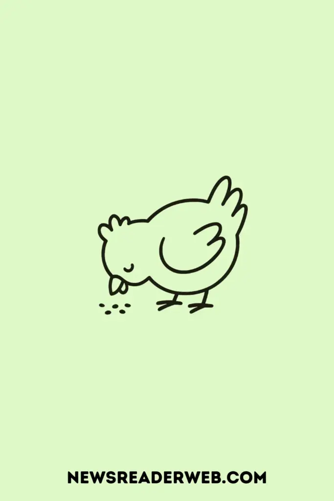 Cute Chicken Drawing Ideas for begineers