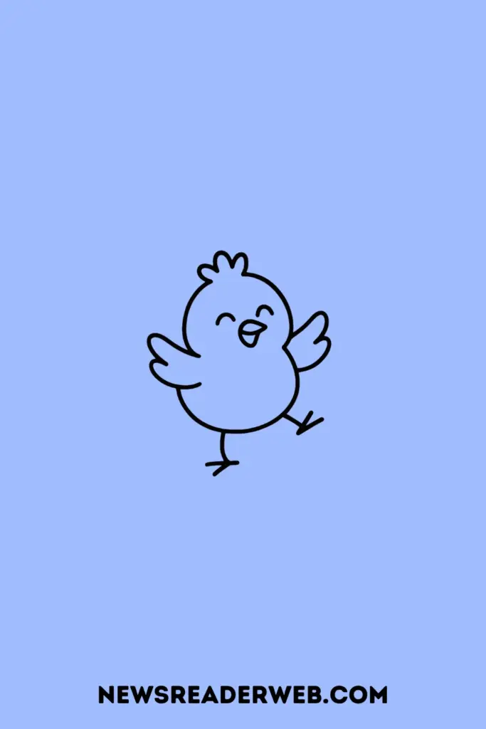 Simple Chicken Drawing Ideas